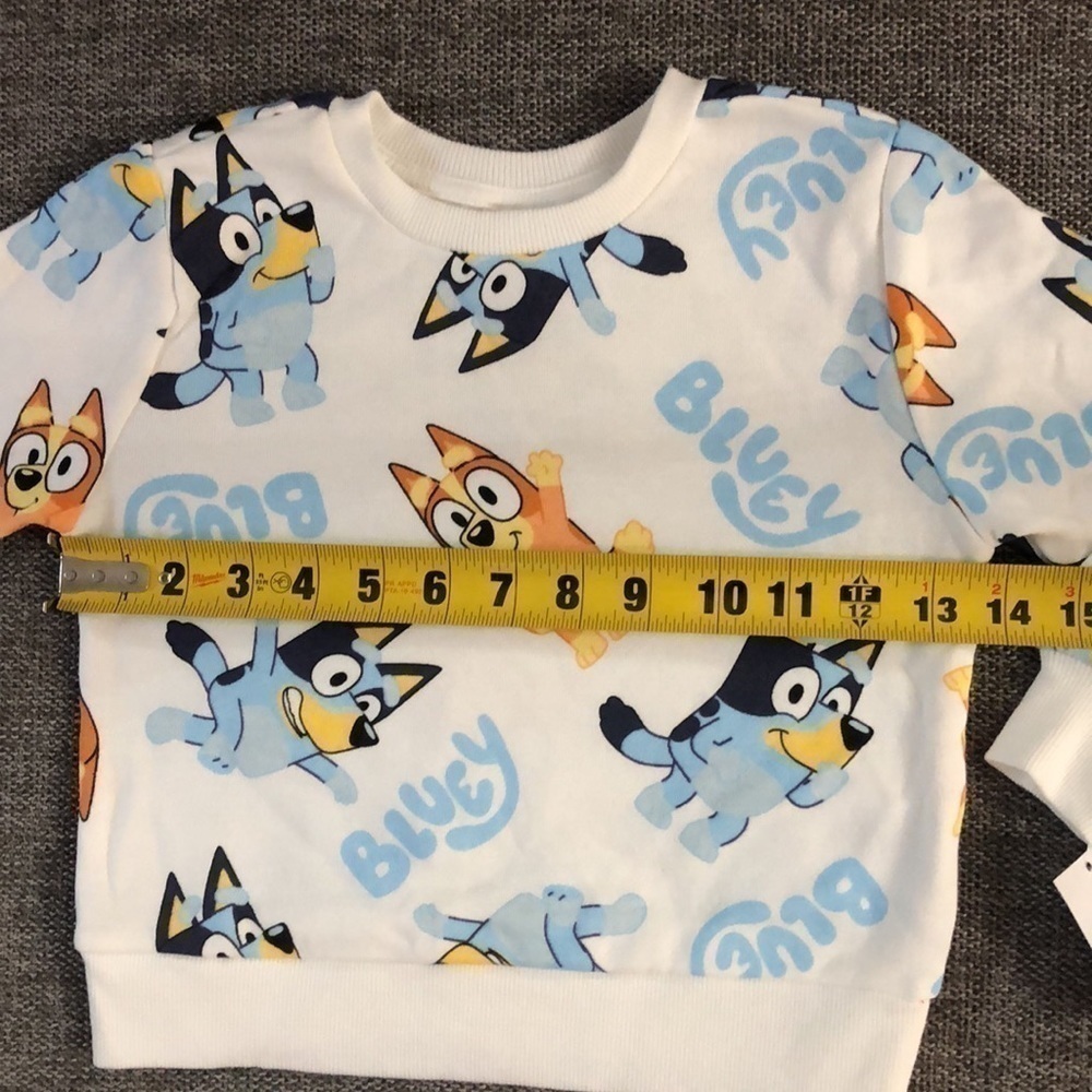 Moose Bluey Bingo Long Toddler Boys Sleeve Pullover Sweatshirt White 2T - Picture 13 of 13